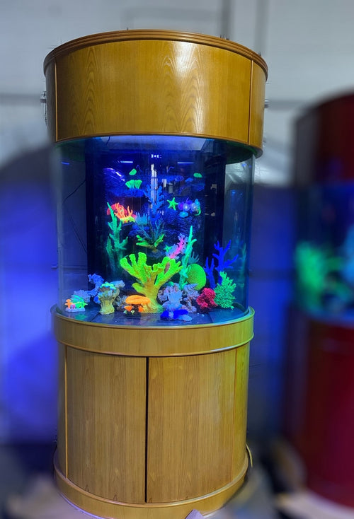 90 Gallon Glass 3/4 Cylinder Round Aquarium With Stand and Canopy in Golden Oak